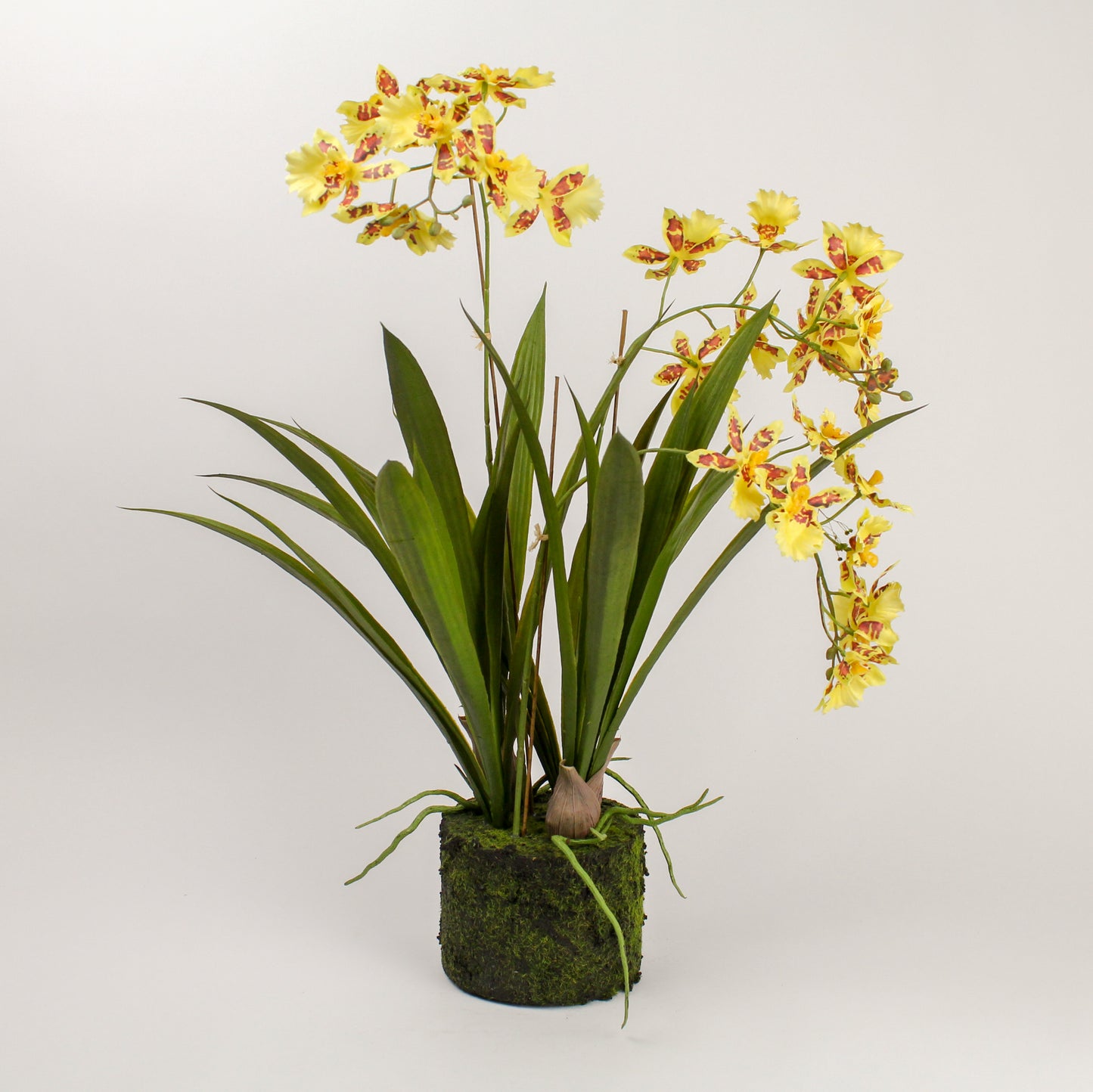 Composizione Floreale Artificiale Orchidee Gialle Su Base Muschio